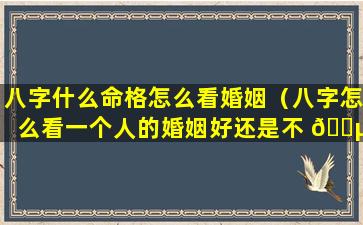 八字什么命格怎么看婚姻（八字怎么看一个人的婚姻好还是不 🌵 好）